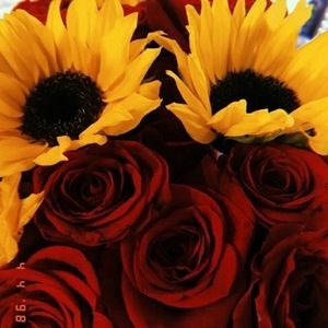 Meet your Posher, Lizbeth